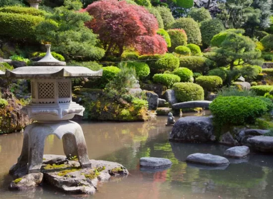 Creating Serenity With Japanese Garden Design